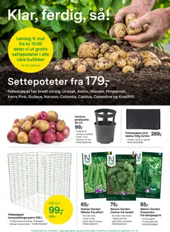 Forhåndsvisning av Felleskjøpet kundeavis gyldig fra 27.04.2026 | Side: 2 | Produkter: Salat, Poteter, Датчик руху, Ljuskälla