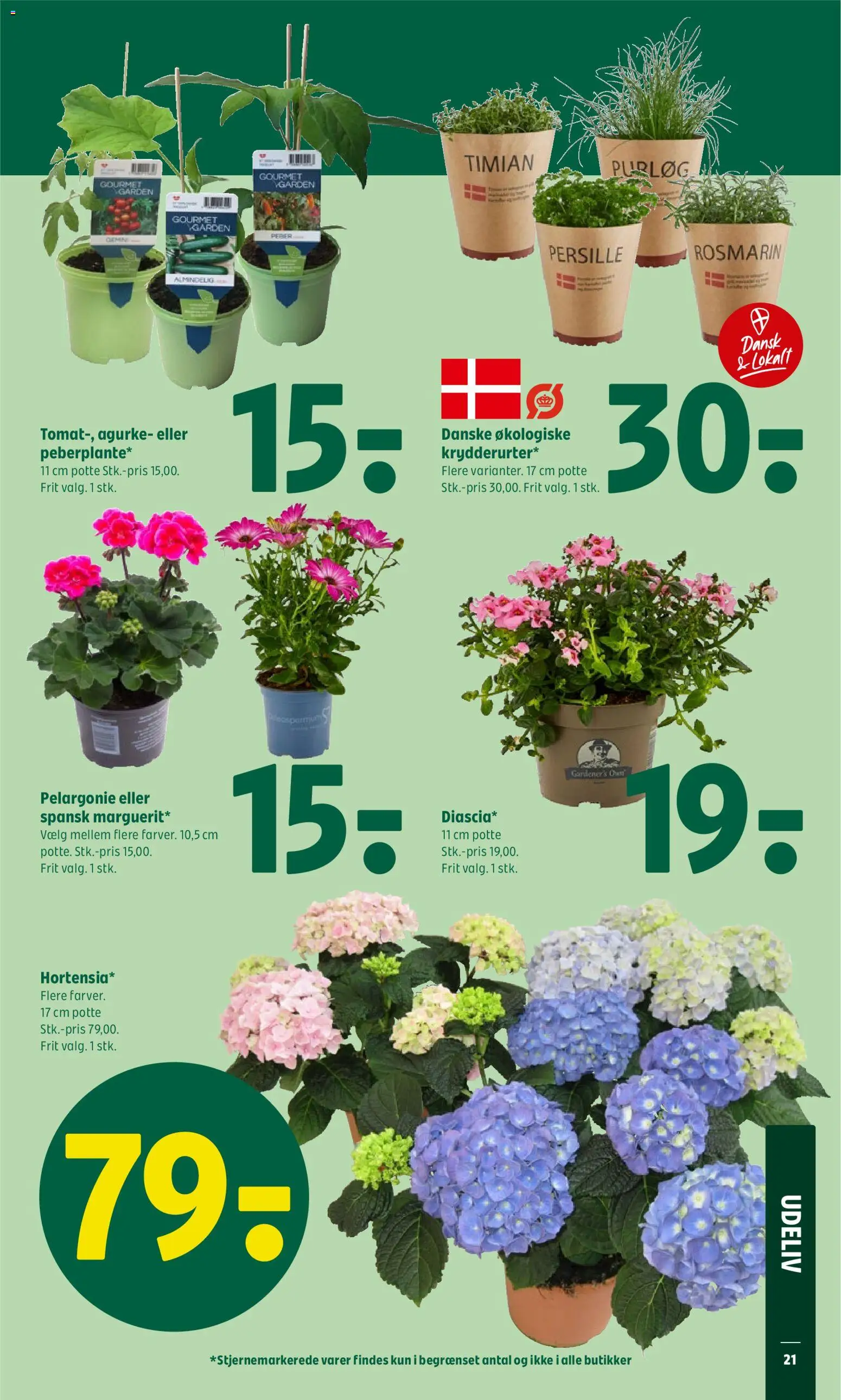 Coop 365 tilbudsavis – gyldig fra 30.04.2026 | Side: 27 | Produkter: Purløg, Peber, Timian, Persille