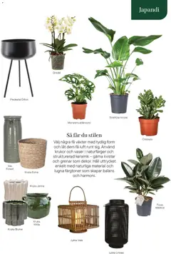 Plantagen - erbjudanden - Förhandsvisning av reklamblad från butik Plantagen aktuell från 13.01.2026 | Sida: 19 | Produkter: Lykta, Piedestal, Kruka, Häll