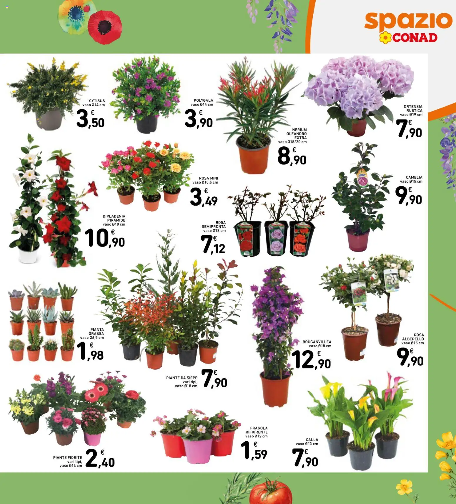 Volantino Spazio Conad del 13.03.2026 | Pagina: 29 | Prodotti: Vaso