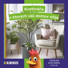 Kinekus leták platný od 02.03.2026