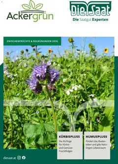 Lagerhaus Zwischenfrüchte und Begrünungen 2026 ab 26.03.2026 gültig