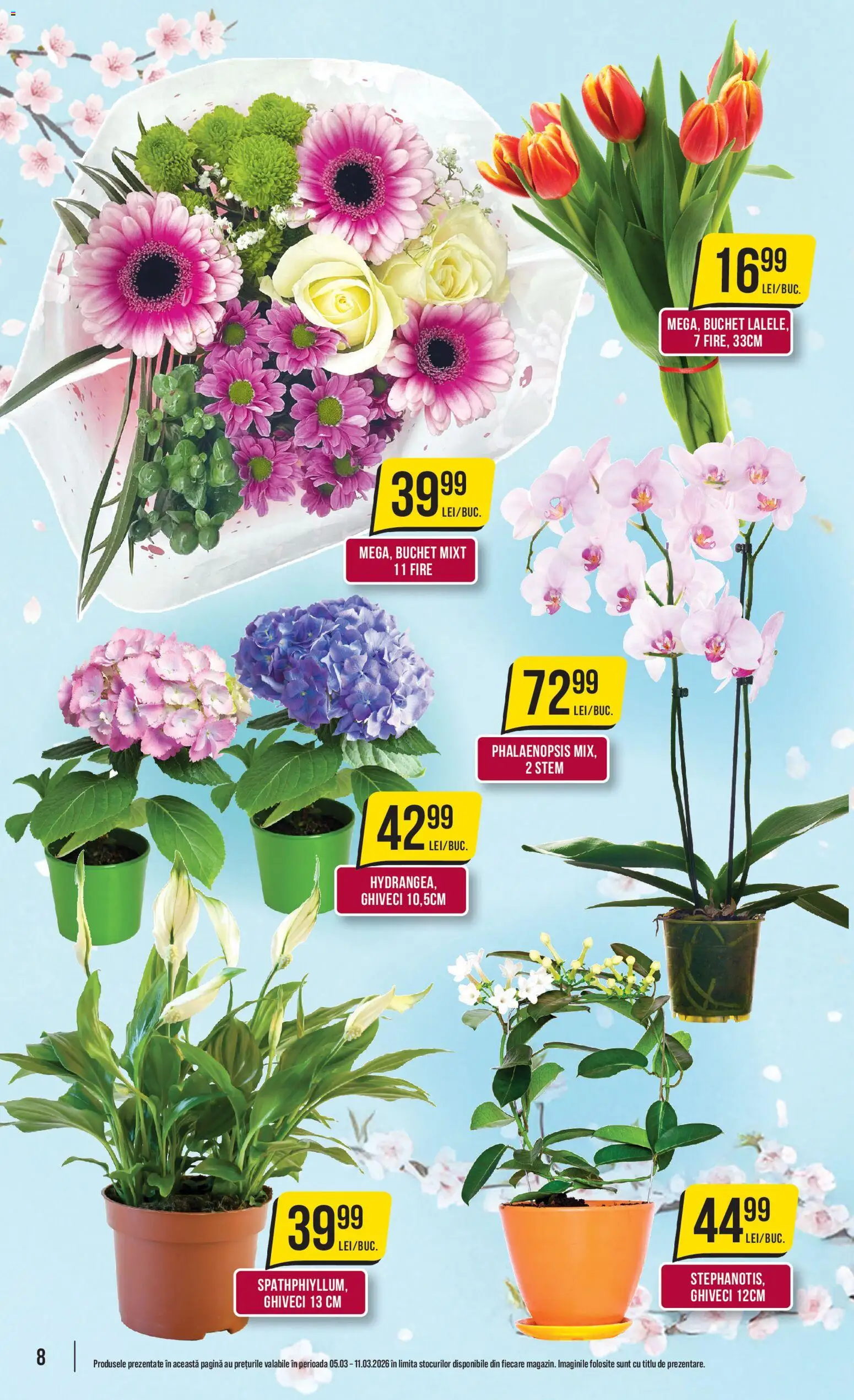 Noul catalog Mega Image – valabil de la 05.03.2026 | Pagină: 8 | Produse: Ghiveci