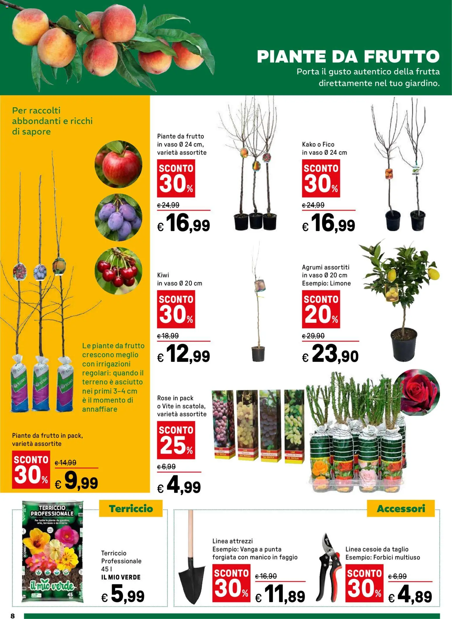 Volantino Iper del 16.03.2026 | Pagina: 8 | Prodotti: Frutta, Limone, Vanga, Terriccio