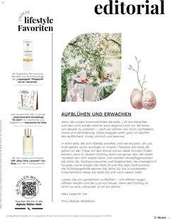 Müller aktionen Magazin ab 01.03.2026 gültig | Seite: 3 | Produkte: Nagelfeile, Parfüm, Lip Balm, Bilder