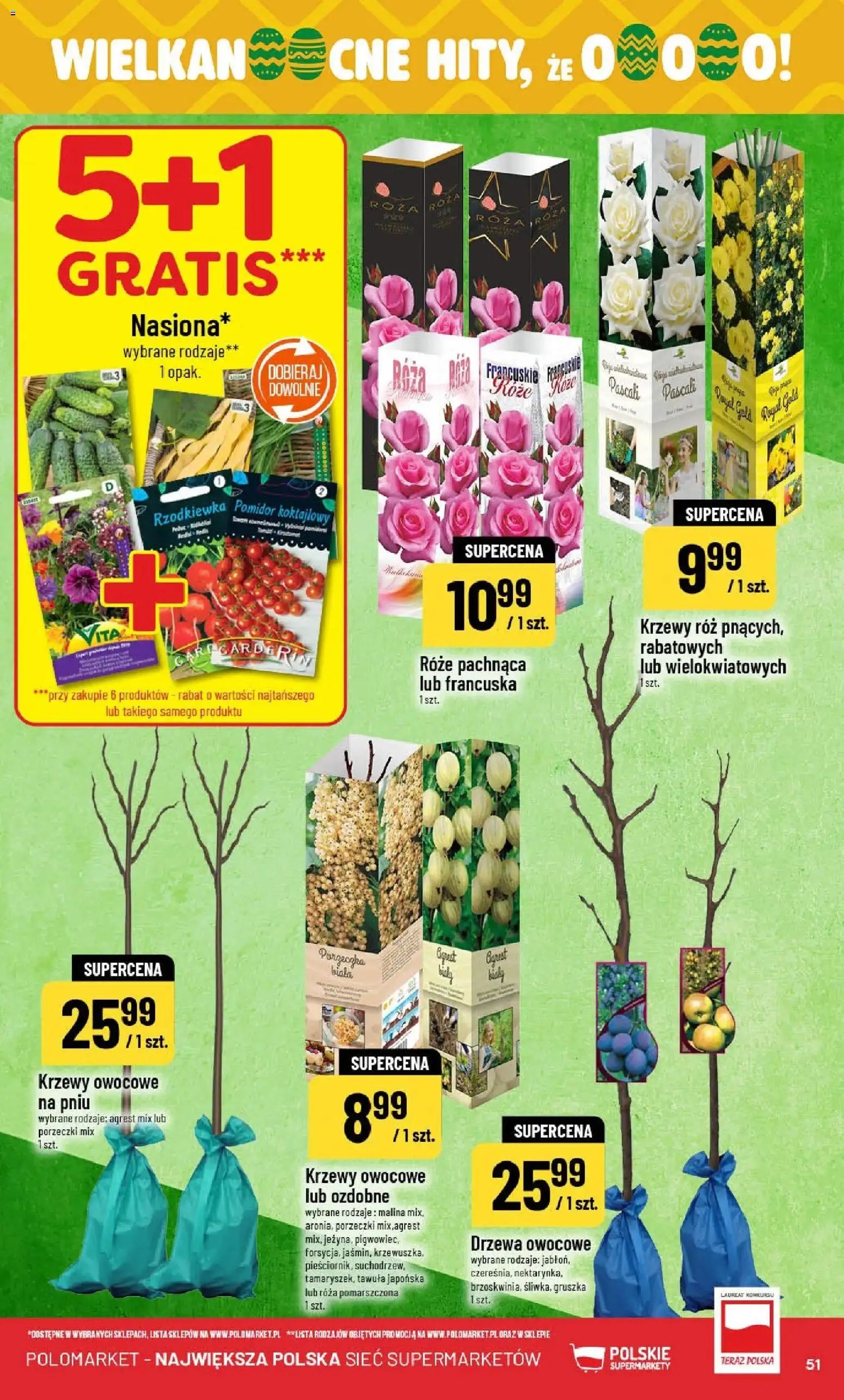 POLOmarket gazetka od 04.03.2026 | Strona: 51 | Produkty: Malina, Krzewy owocowe, Porzeczka, Agrest