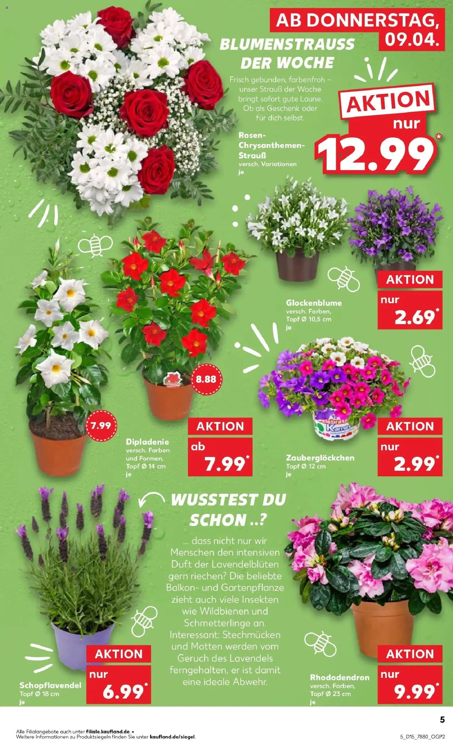 Kaufland Prospekt Leer (Ostfriesland)	 – gültig ab 08.04.2026 | Seite: 5 | Produkte: Duft
