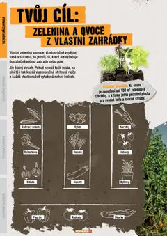 Náhled letáku HORNBACH leták - Zahrada od 01.01.2026 | Strana: 6 | Produkty: Ovoce, Mrkev, Okurky, Zelenina