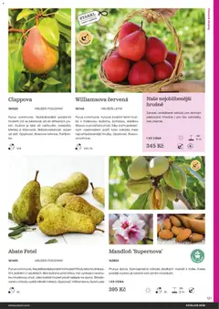 Náhled letáku Starkl katalog od 25.02.2026 | Strana: 121 | Produkty: Vana