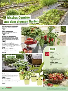 Bauhaus aktionen ab 27.04.2026 gültig | Seite: 10 | Produkte: Chili, Erdbeeren, Kürbis, Gurken