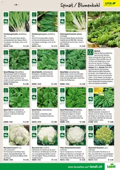 Landi ( Deaktivovane pre Letakomat )  Aktionen ab 07.01.2026 gültig | Seite: 11 | Produkte: Blumenkohl, Kraut, Top, Eisen