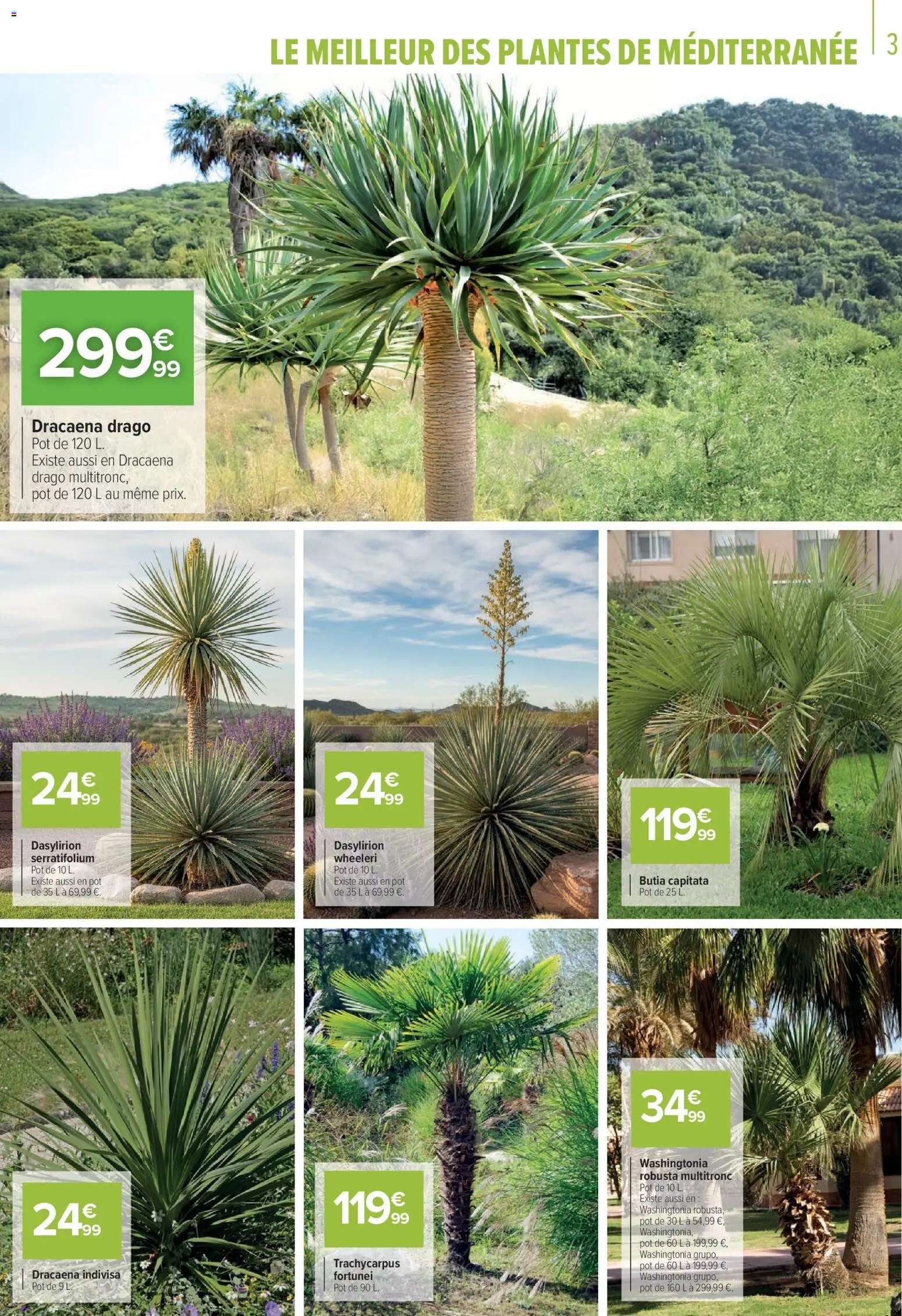 {H1} | Page: 3 | Produits: Plantes