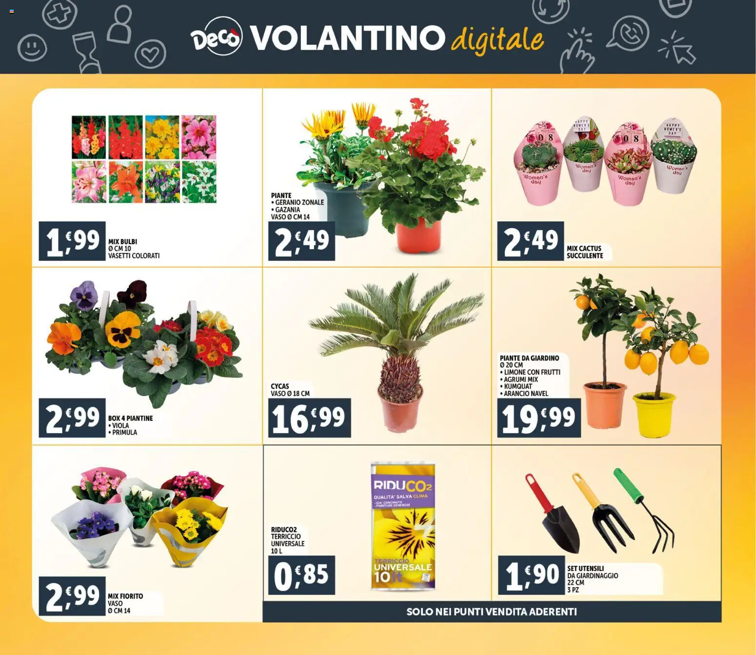 Volantino Decò del 06.03.2026 | Pagina: 30 | Prodotti: Limone, Cactus, Terriccio, Vaso