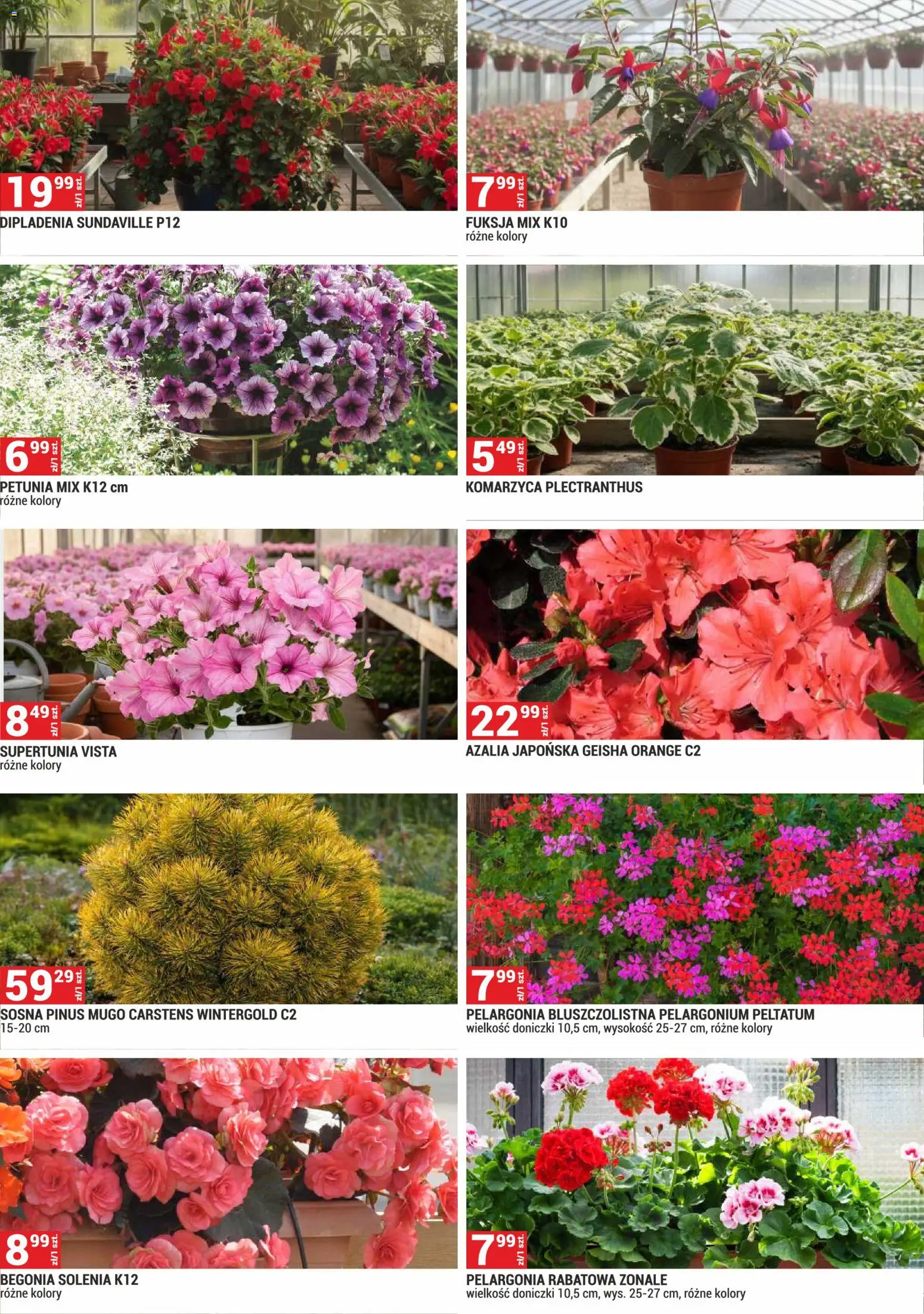 Merkury Market gazetka - Ogród od 01.05.2026 | Strona: 8