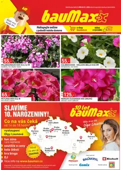 Náhled letáku BAUMAX leták od 01.05.2026