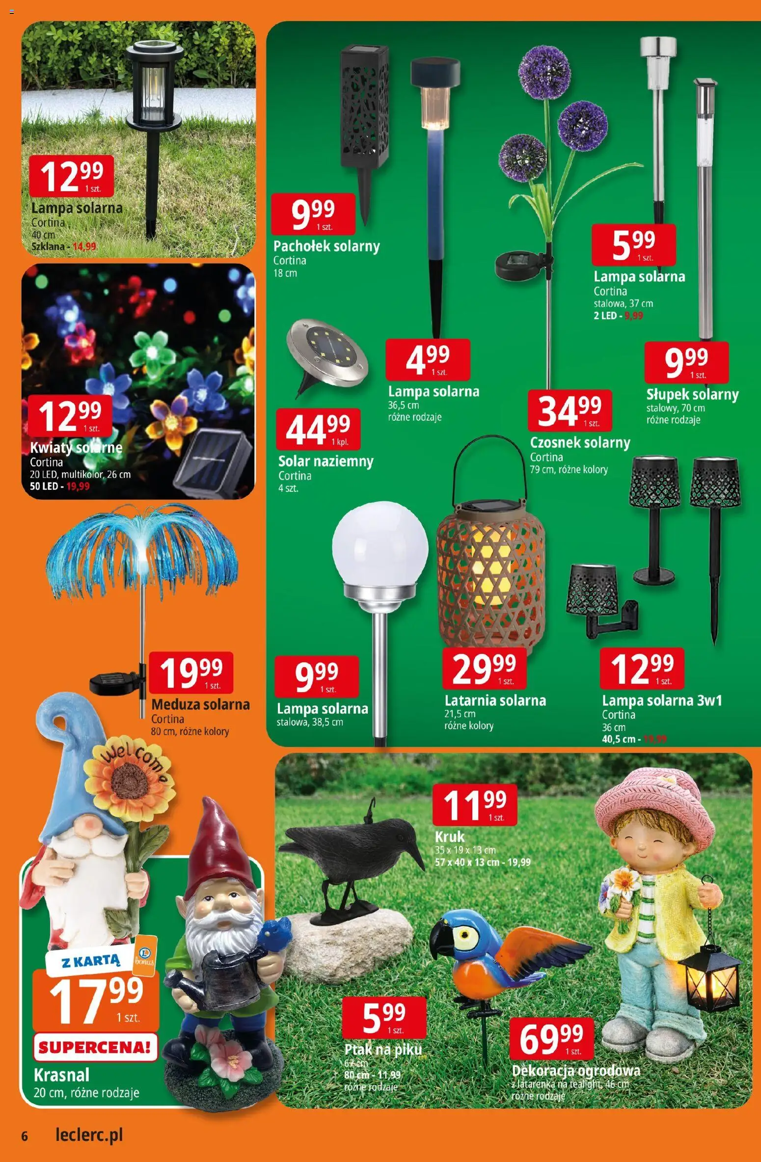 E.Leclerc gazetka - Kłodzko od 10.03.2026 | Strona: 6 | Produkty: Czosnek, Karta, Lampa, Kwiaty