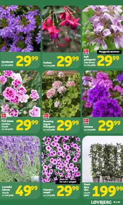 Løvbjerg - Tilbudsavis uge 19 gyldig fra 01.05.2026 | Side: 27 | Produkter: Duft