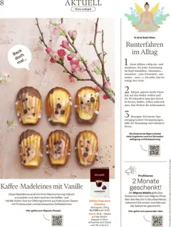 Kaffee-Madeleines mit Vanille, Madeleines mit Marmorierung, Kaffee- und Vanille-Noten, Glasur mit Puderzucker und zerstossenen Kaffeebohnen. ab 29.04.2026 gültig | Seite: 8 | Produkte: Kaffee