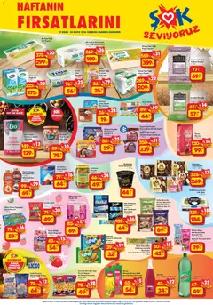 29.04.2026 tarihinden itibaren geçerli olan Şok Market kataloğu önizlemesi