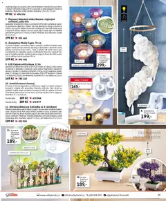 Náhled letáku Velký Košík katalog červenec 2026 od 01.07.2026 | Strana: 59 | Produkty: Zvonkohra, Košík, Svíčky, Květiny