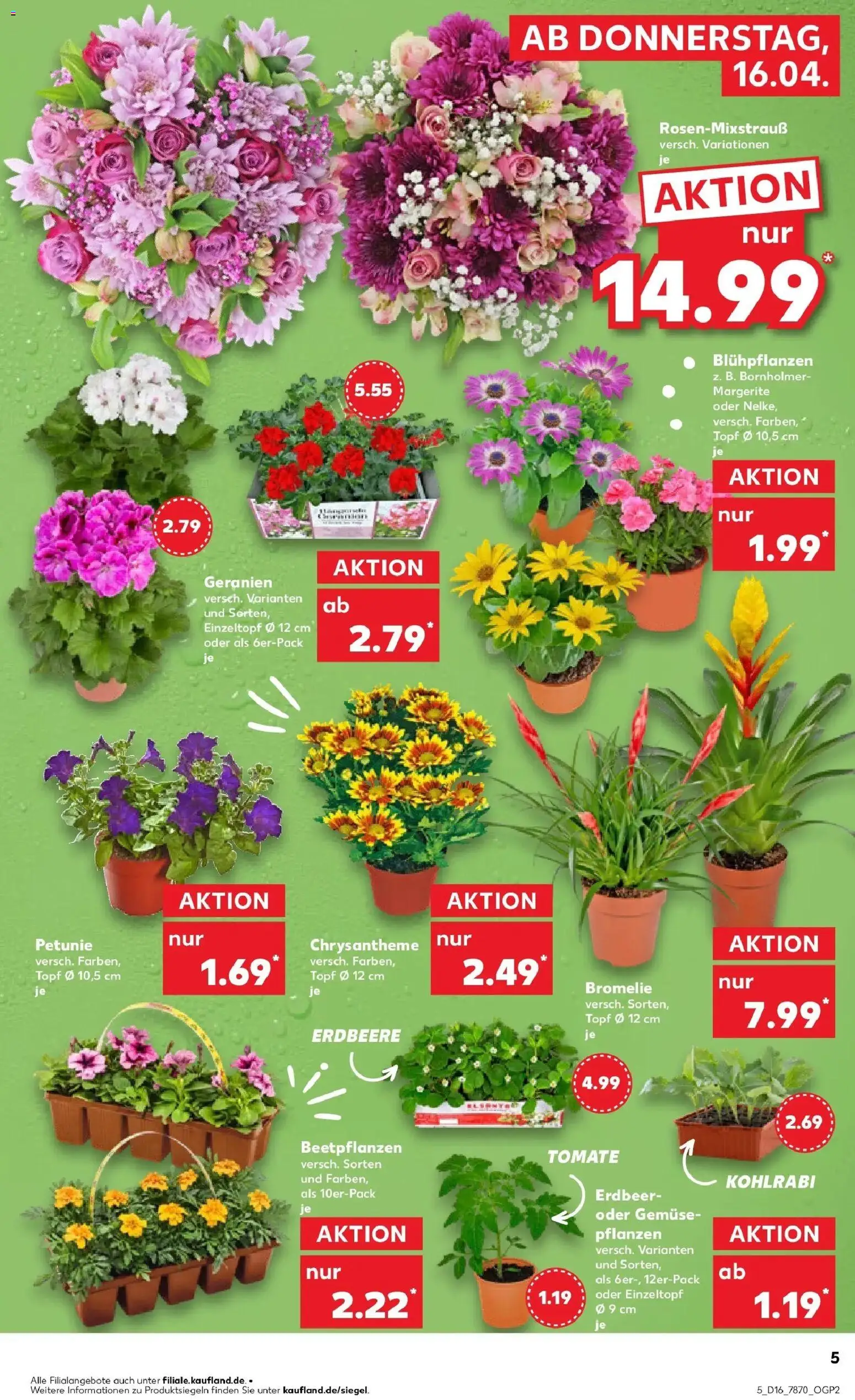 Kaufland Prospekt Sindelfingen	 – gültig ab 13.04.2026 | Seite: 17 | Produkte: Kohlrabi, Geranien, Gemüse