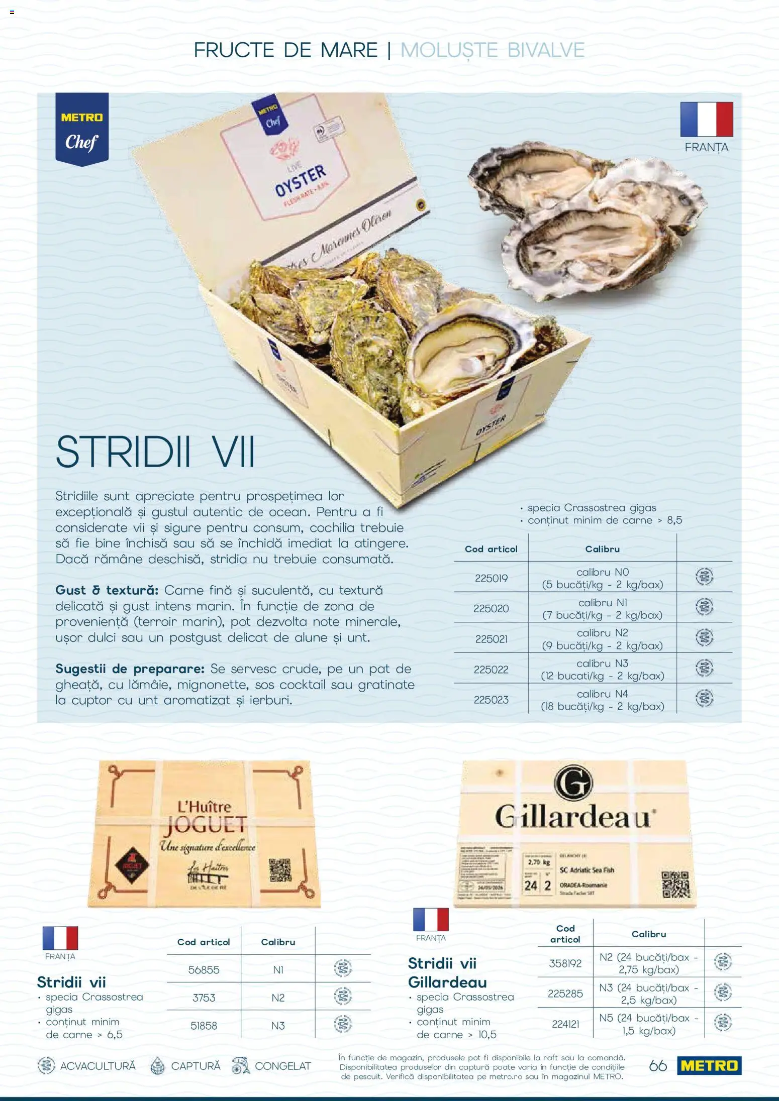 Noul catalog Metro – valabil de la 01.10.2026 | Pagină: 66 | Produse: Raft, Cocktail, Fructe, Sos