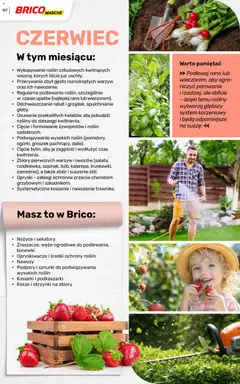 Pogląd oferty "Brico Marché gazetka - Wiosna" - ważna od 04.03.2026 | Strona: 127
