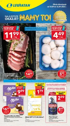 Pogląd oferty "Lewiatan gazetka - Ostrów Wielkopolski" - ważna od 10.09.2026