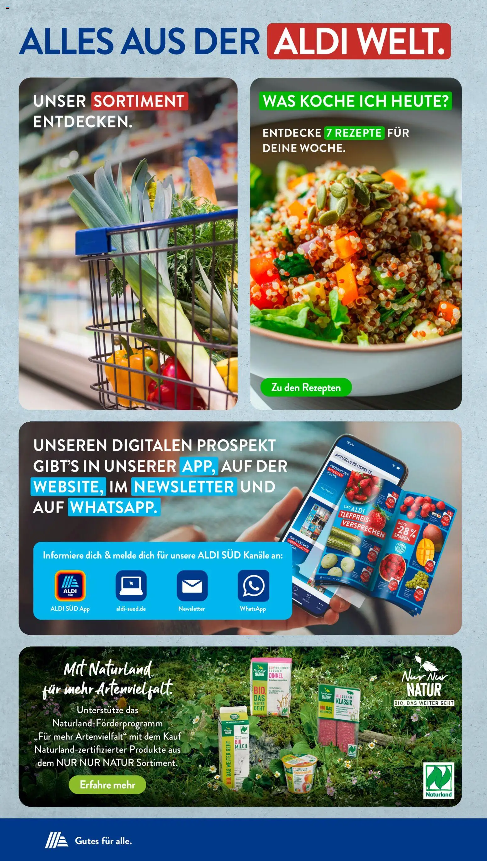 Aldi Süd Prospekt 	 – gültig ab 23.03.2026 | Seite: 38 | Produkte: Milch, Flocken