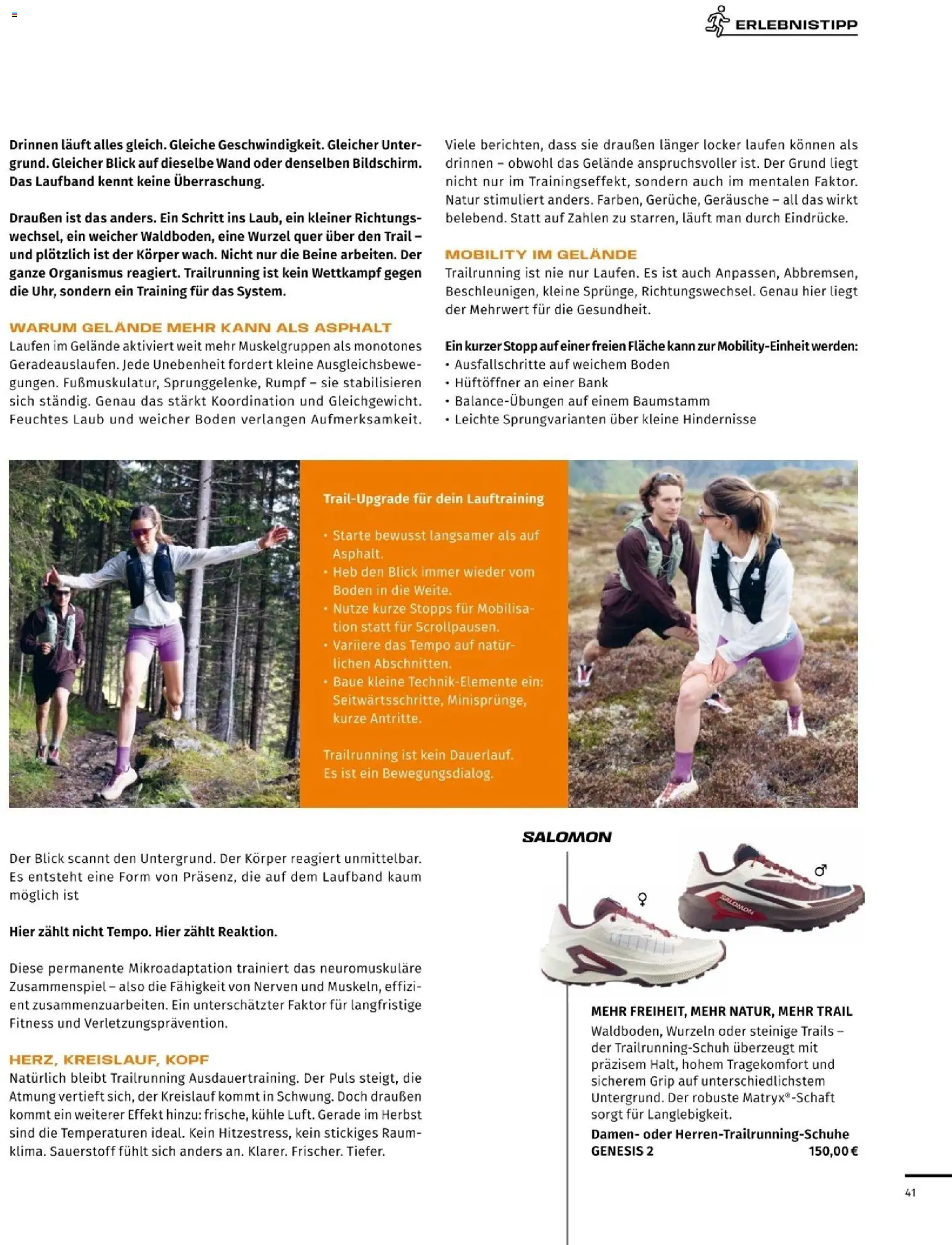 Sport2000 Prospekt – gültig ab 03.09.2026 | Seite: 41
