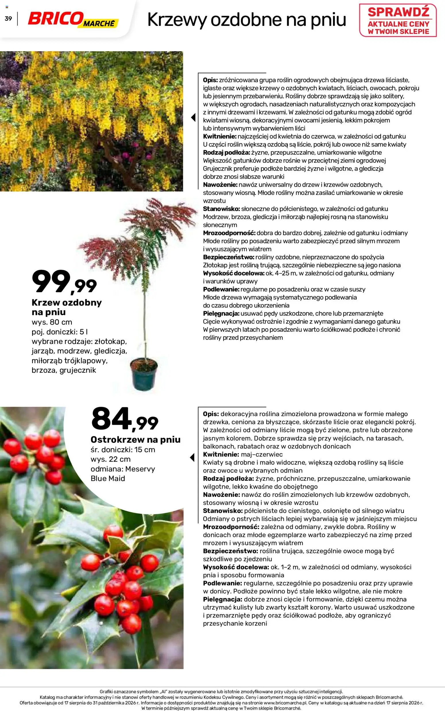 Brico Marché gazetka - Jesienne Inspiracje od 17.08.2026 | Strona: 39 | Produkty: Podłoże, Nawóz, Rosliny, Doniczki