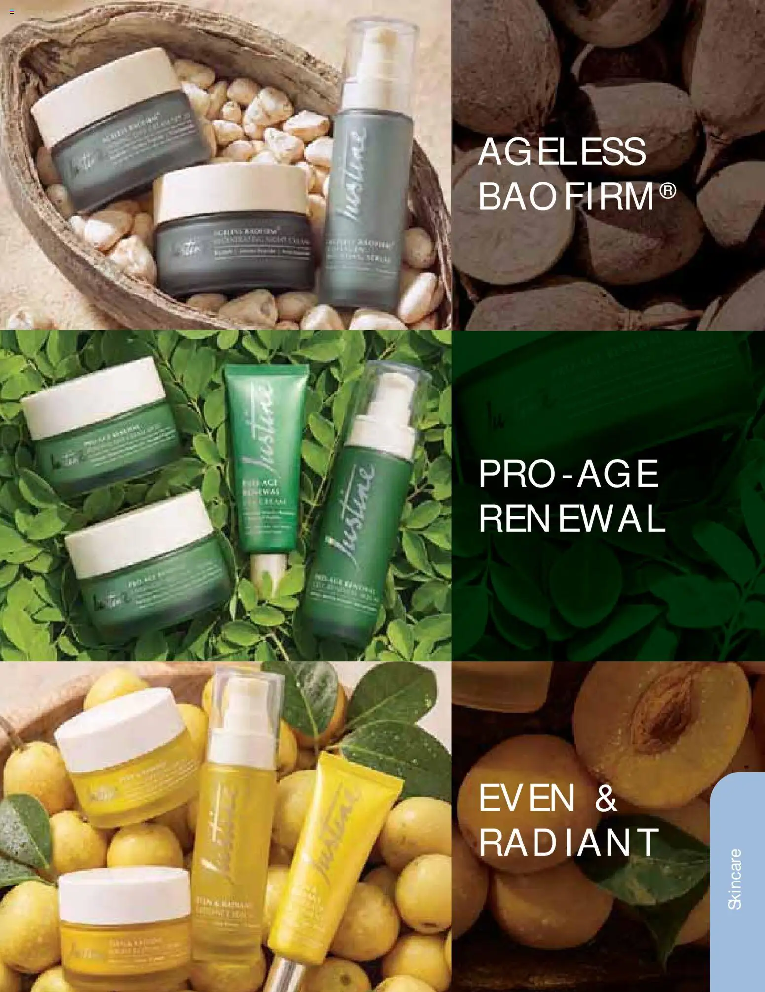 New Justine catalogue – valid from 01/08/2026 | Page: 36 | Products: Cream