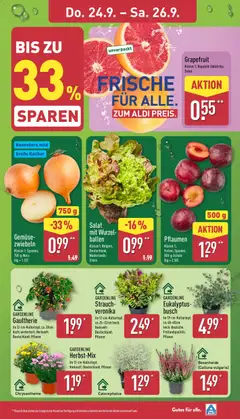 Gemüse-,  zwiebeln, Besonders mild,  Große Kaliber,  Klasse 1; Spanien;,  750-g-Netz,  (kg = 1.32) ab 21.09.2026 gültig | Seite: 27