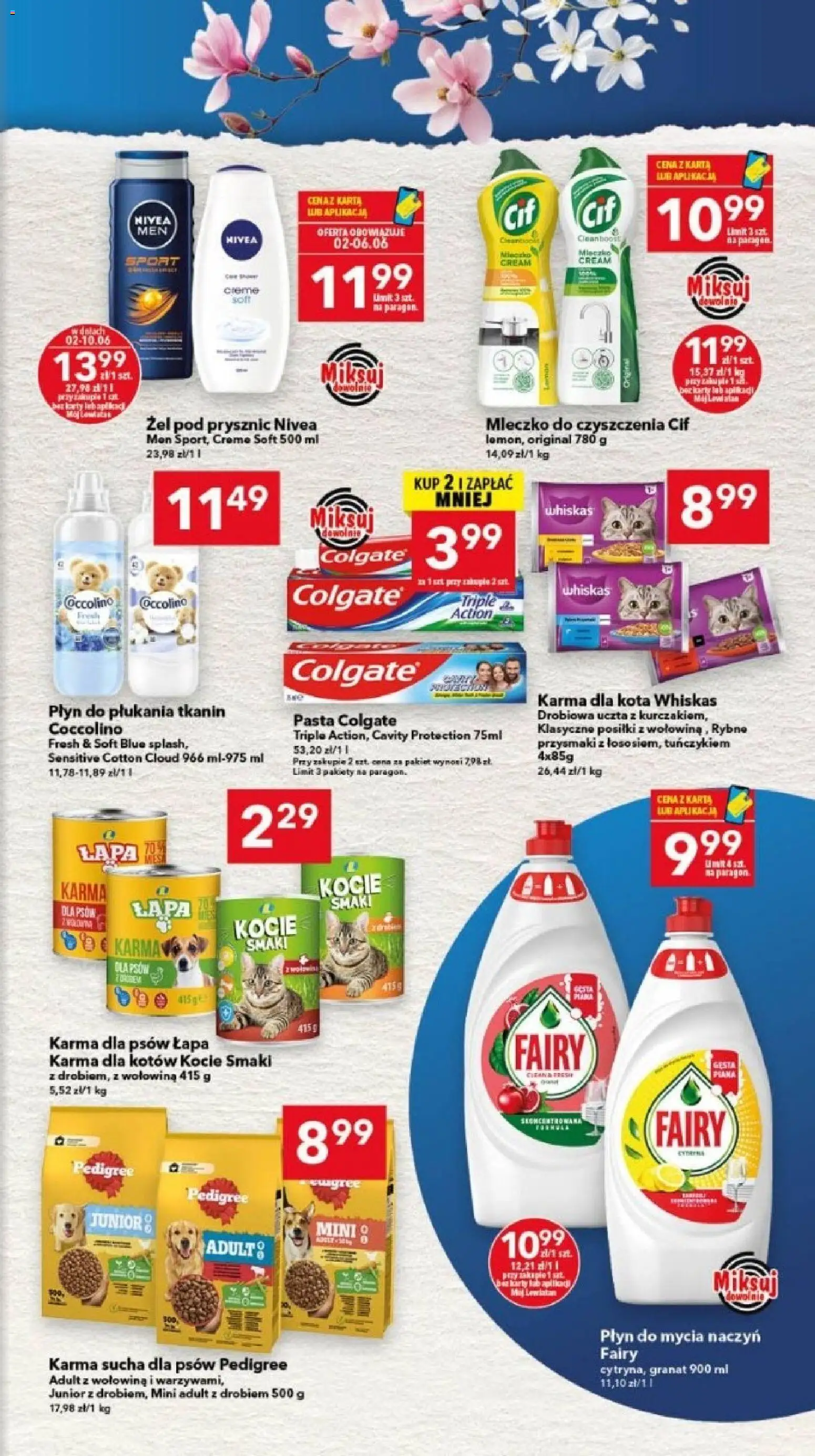 Lewiatan gazetka - Legnica od 02.06.2026 | Strona: 15 | Produkty: Coccolino, Pedigree, Wołowina, Karma dla psów