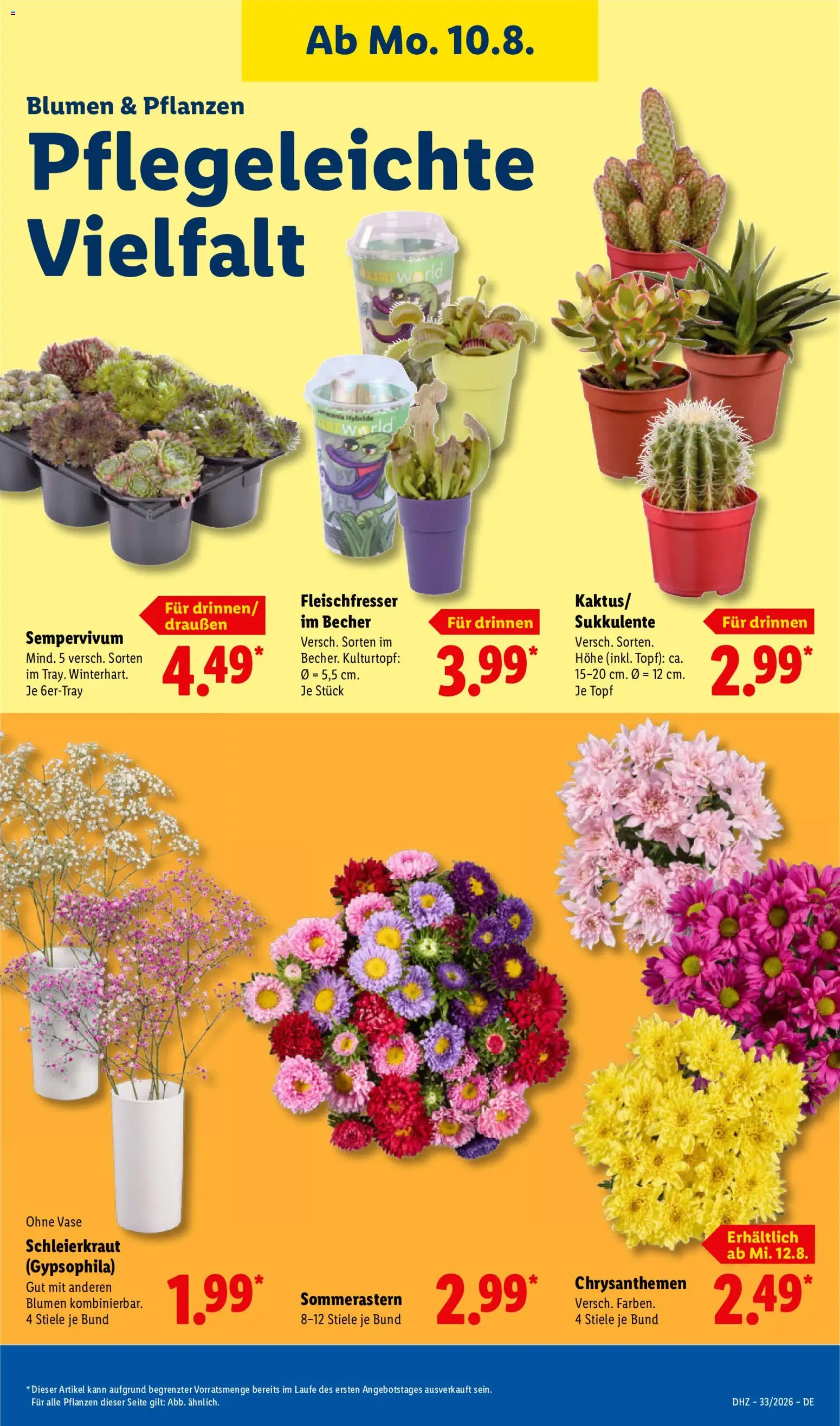 Lidl Německo leták od 10.08.2026 | Strana: 23