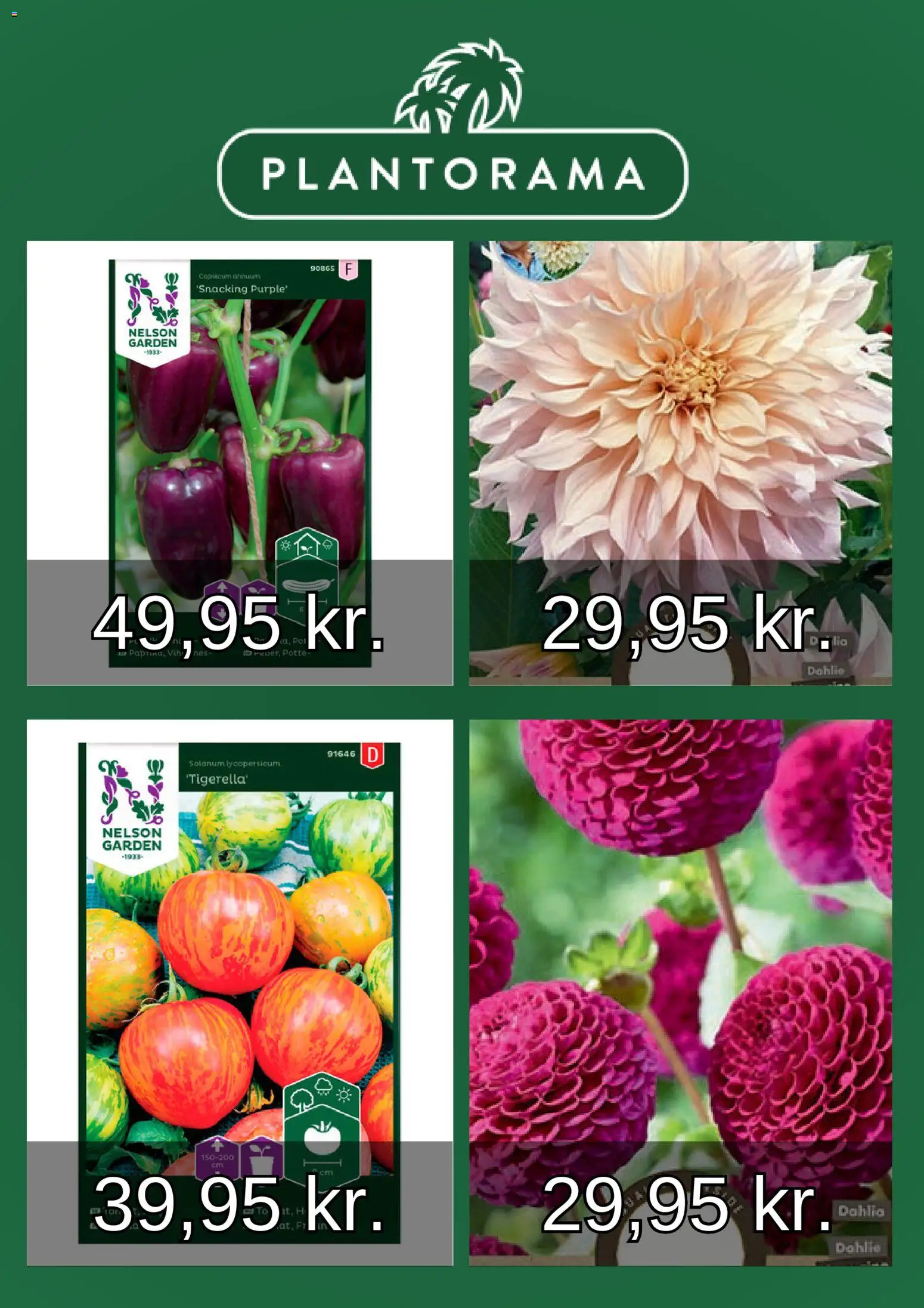 Plantorama tilbudsavis – gyldig fra 01/03/2026 | Side: 4