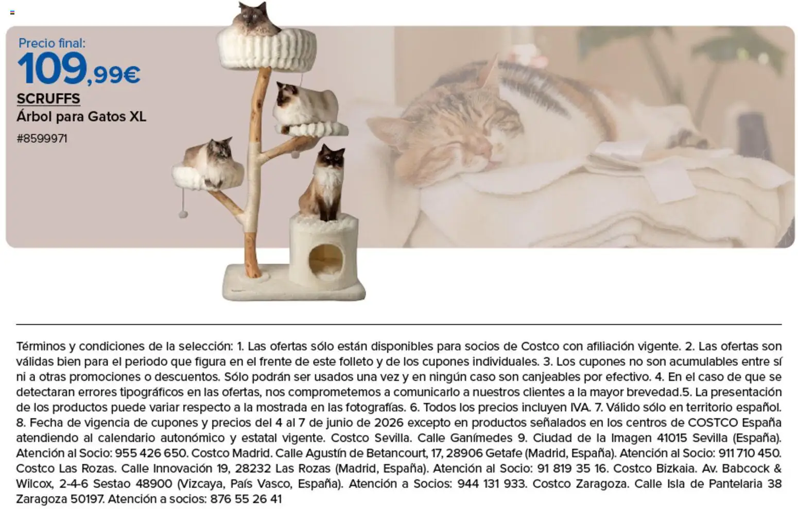 Costco catálogo │ válido desde el 04.06.2026 | Página: 6