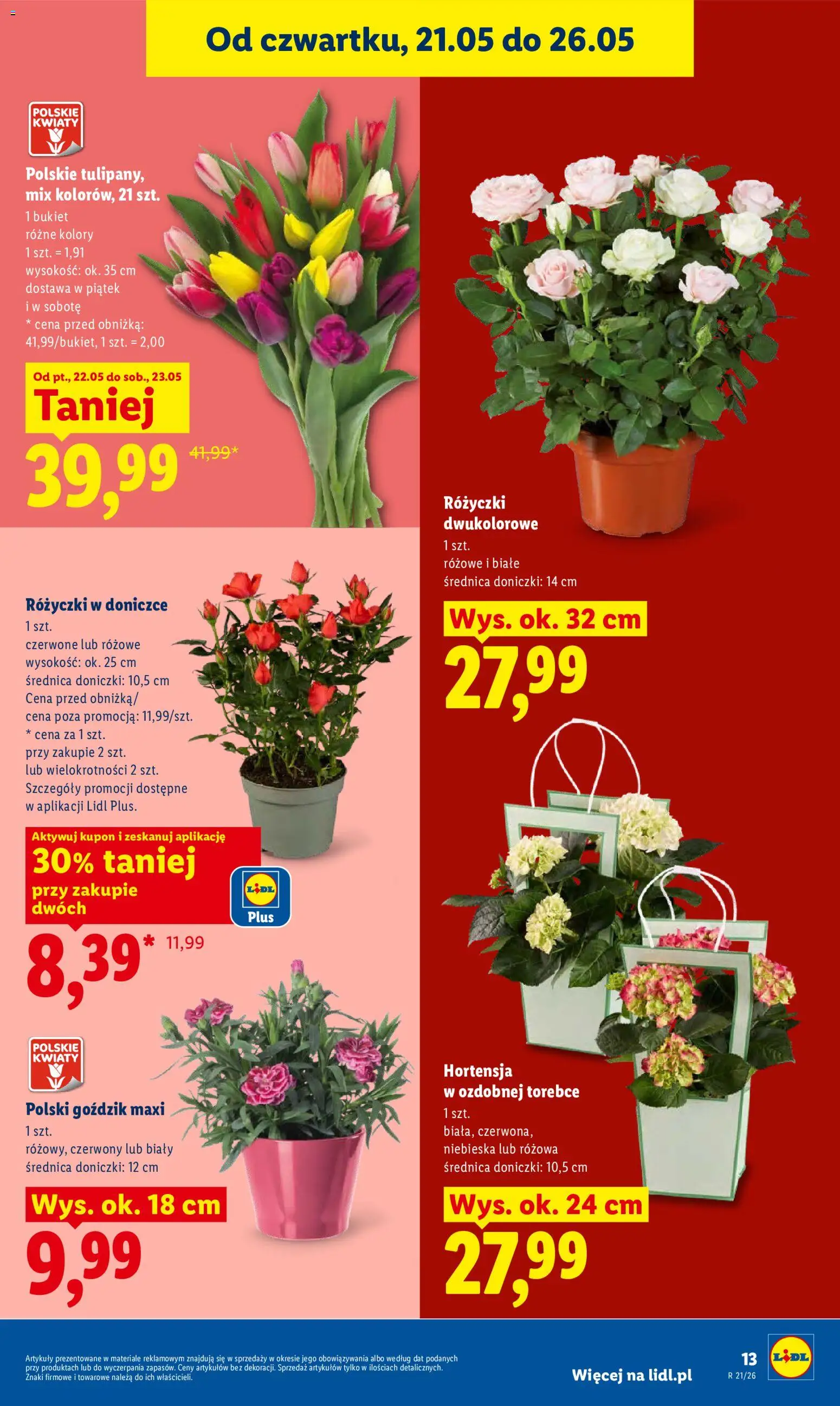 Lidl Polsko leták od 21.05.2026 | Strana: 13