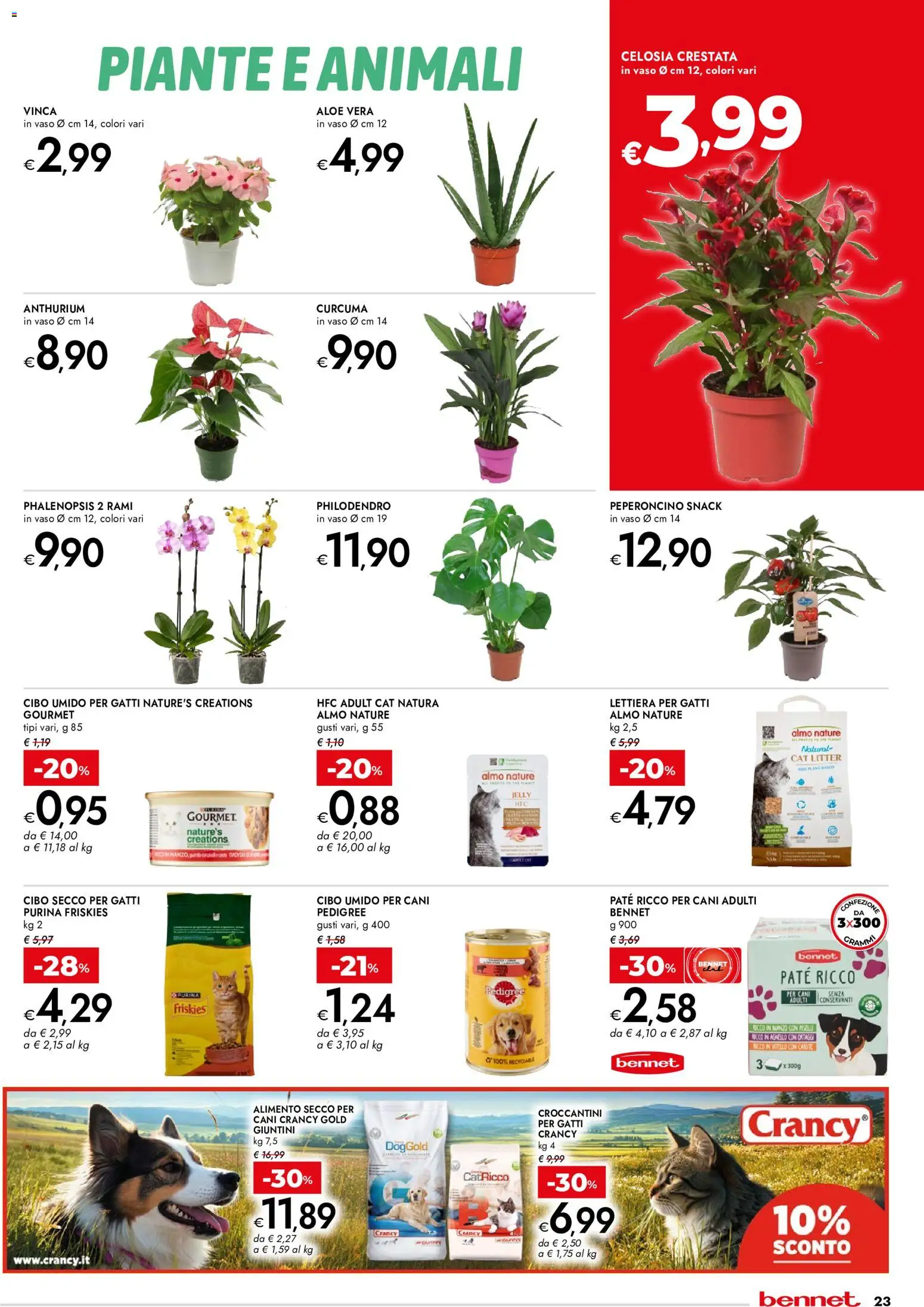 Volantino bennet del 02/07/2026 | Pagina: 23 | Prodotti: Ortaggi, Peperoncino, Aloe vera, Vaso