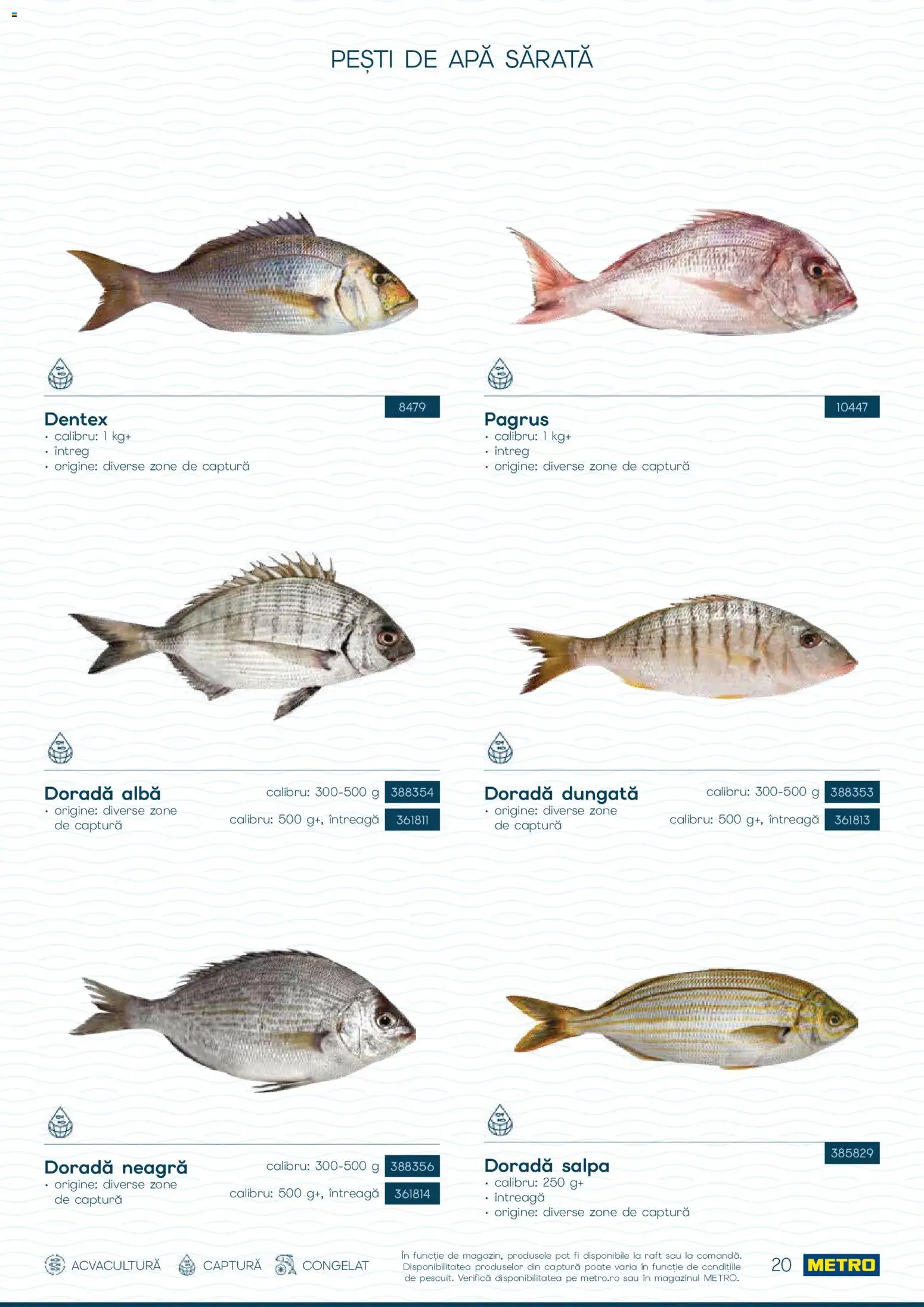 Noul catalog Metro – valabil de la 01.10.2026 | Pagină: 20 | Produse: Alba, Raft, Apă