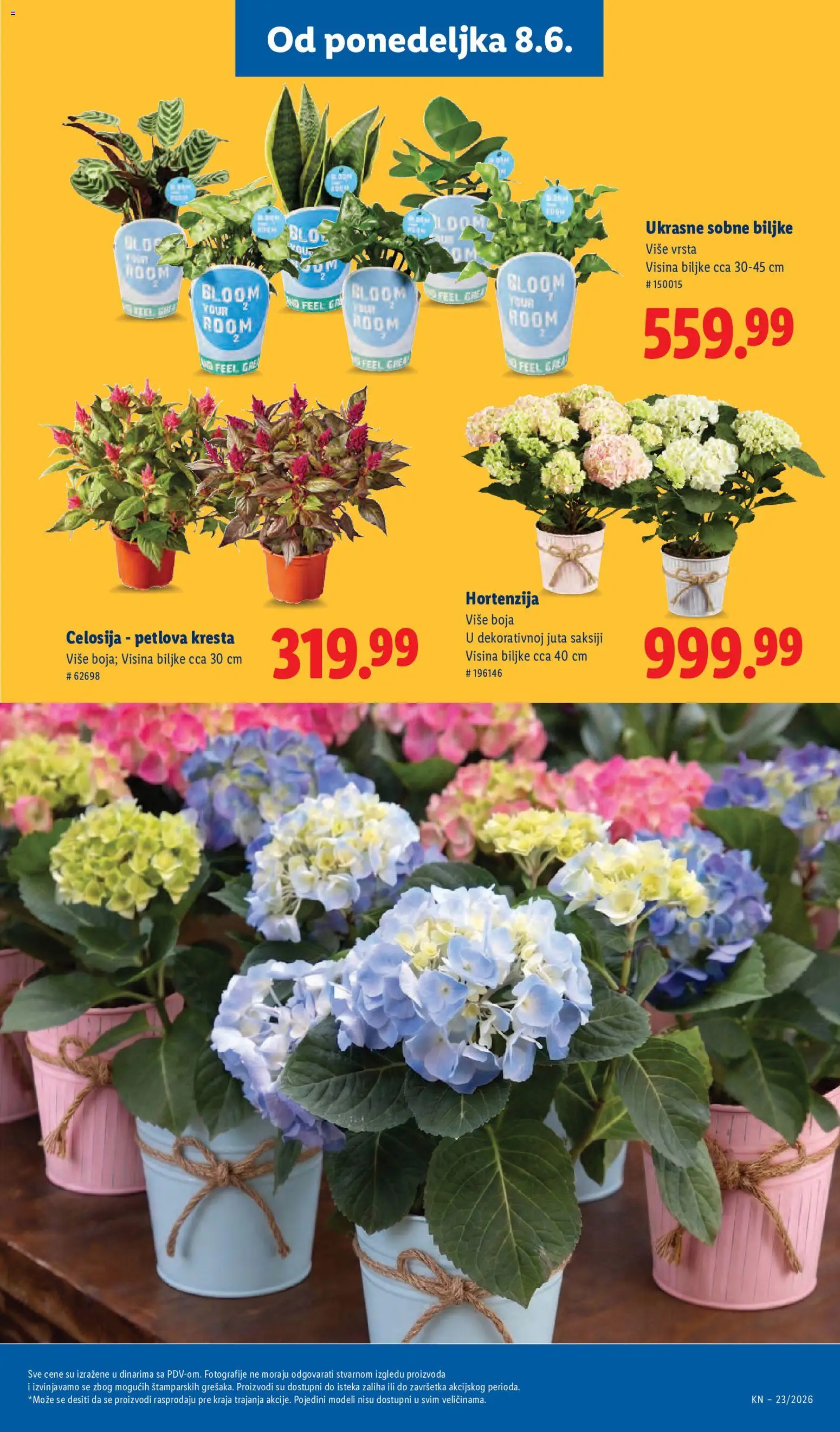 Lidl katalog - važi od 04.06.2026 | Strana: 71