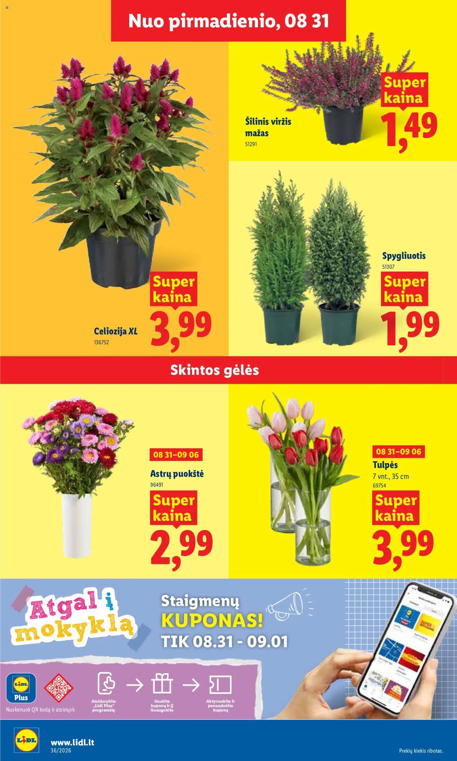 LIDL akcijos nuo 2026.08.31 | Puslapis: 6