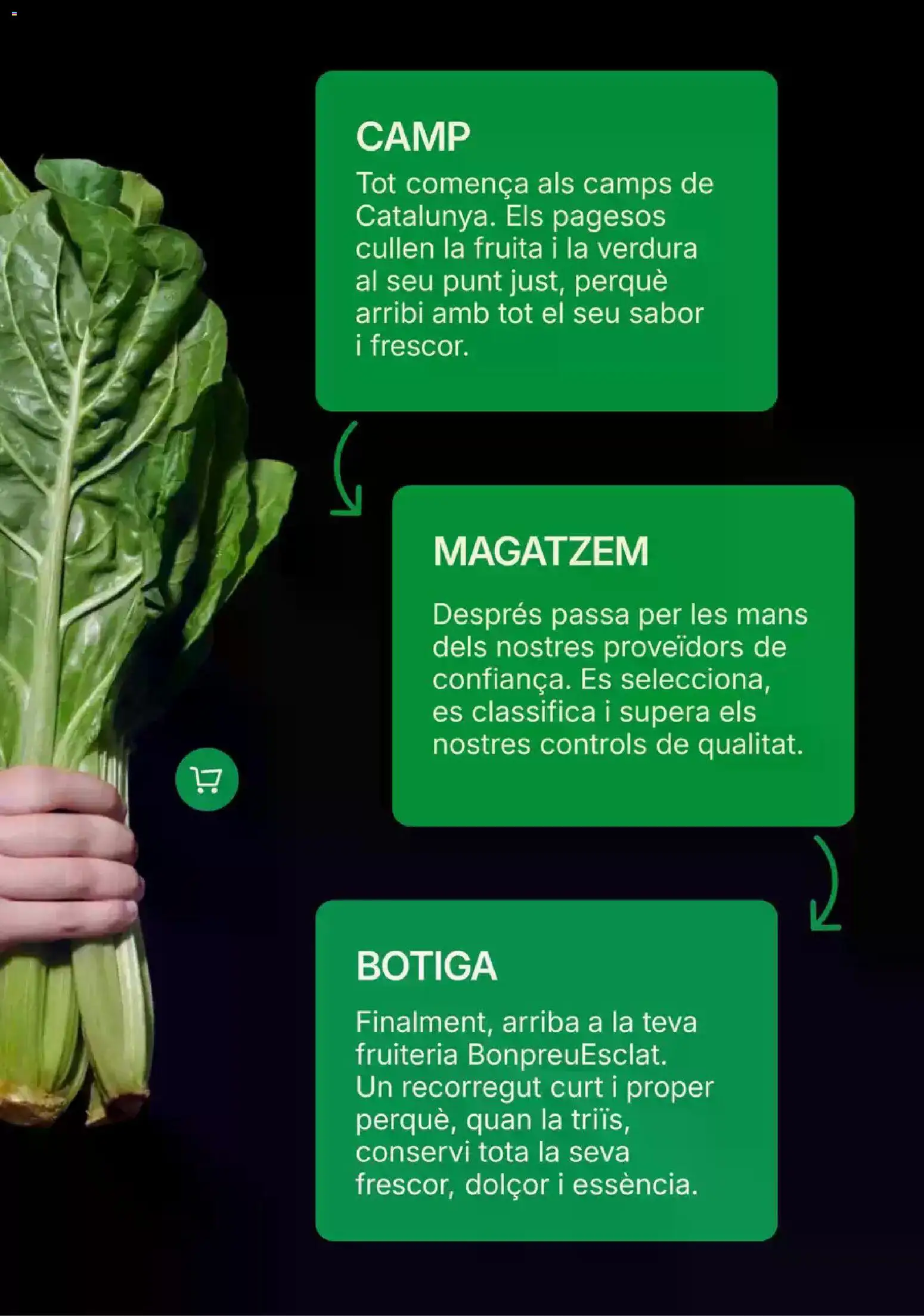 Bonpreu folleto │ válido desde el 15/10/2026 | Página: 6