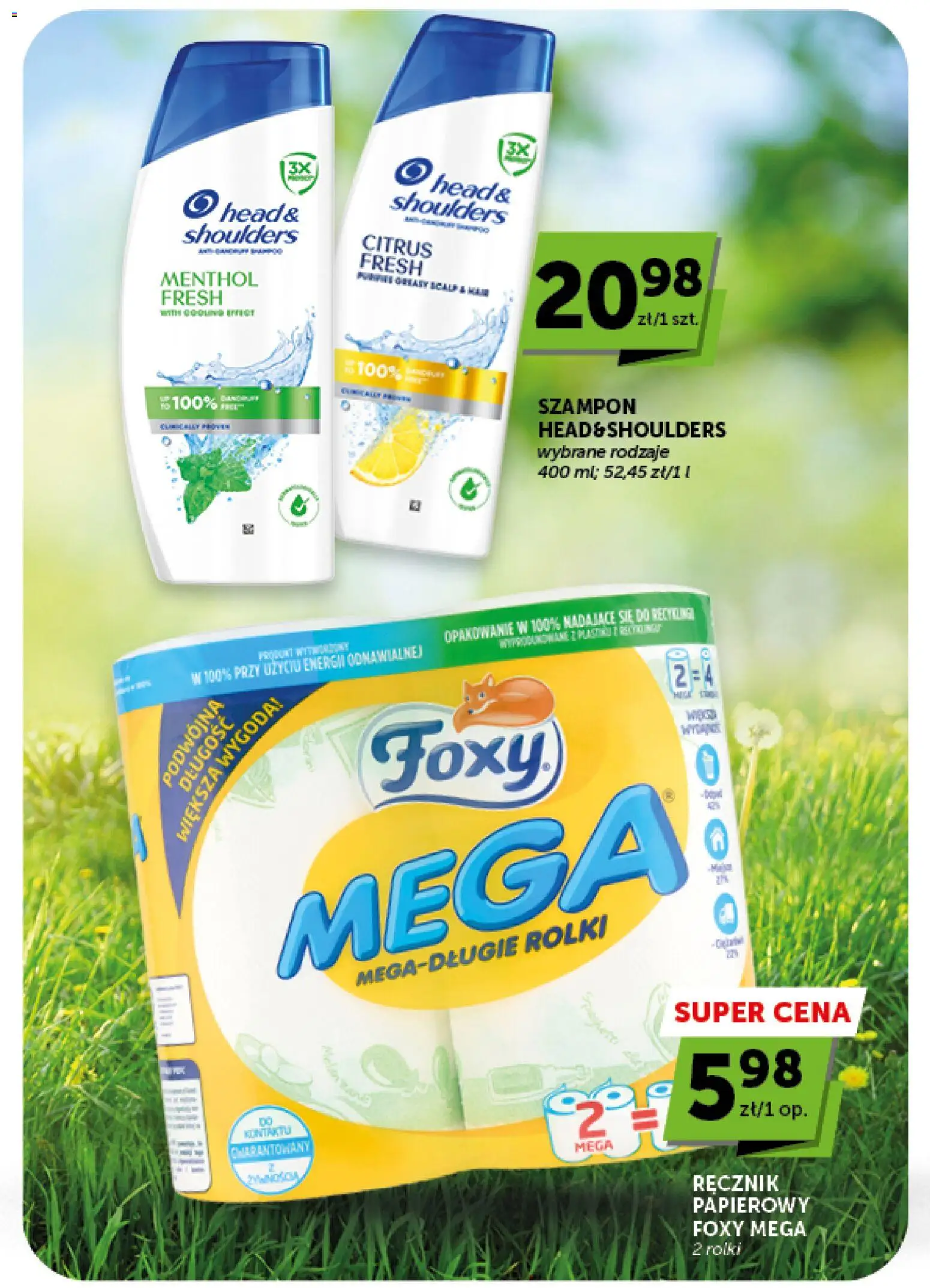 Euro Sklep gazetka od 20.08.2026 | Strona: 39 | Produkty: Rolki, Szampon, Ręcznik papierowy