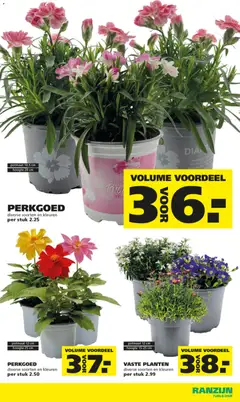 Ranzijn folder - Voorbeeld van een folder van Ranzijn, geldig van 10.05.2026 | Pagina: 5 | Producten: Pot