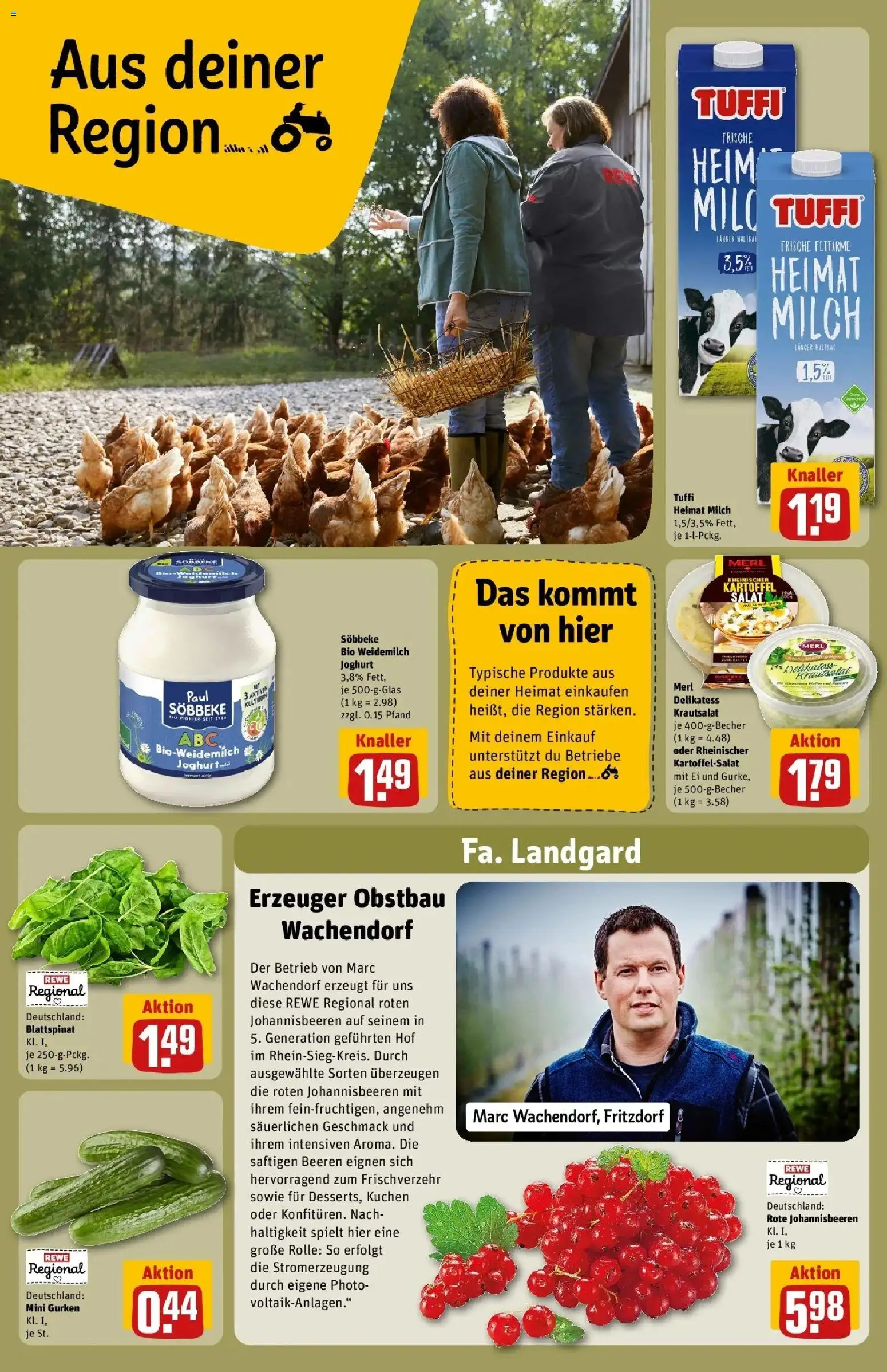 Rewe Prospekt Bonn / Beuel – gültig ab 27.07.2026 | Seite: 30 | Produkte: Joghurt, Kuchen, Gurken, Salat