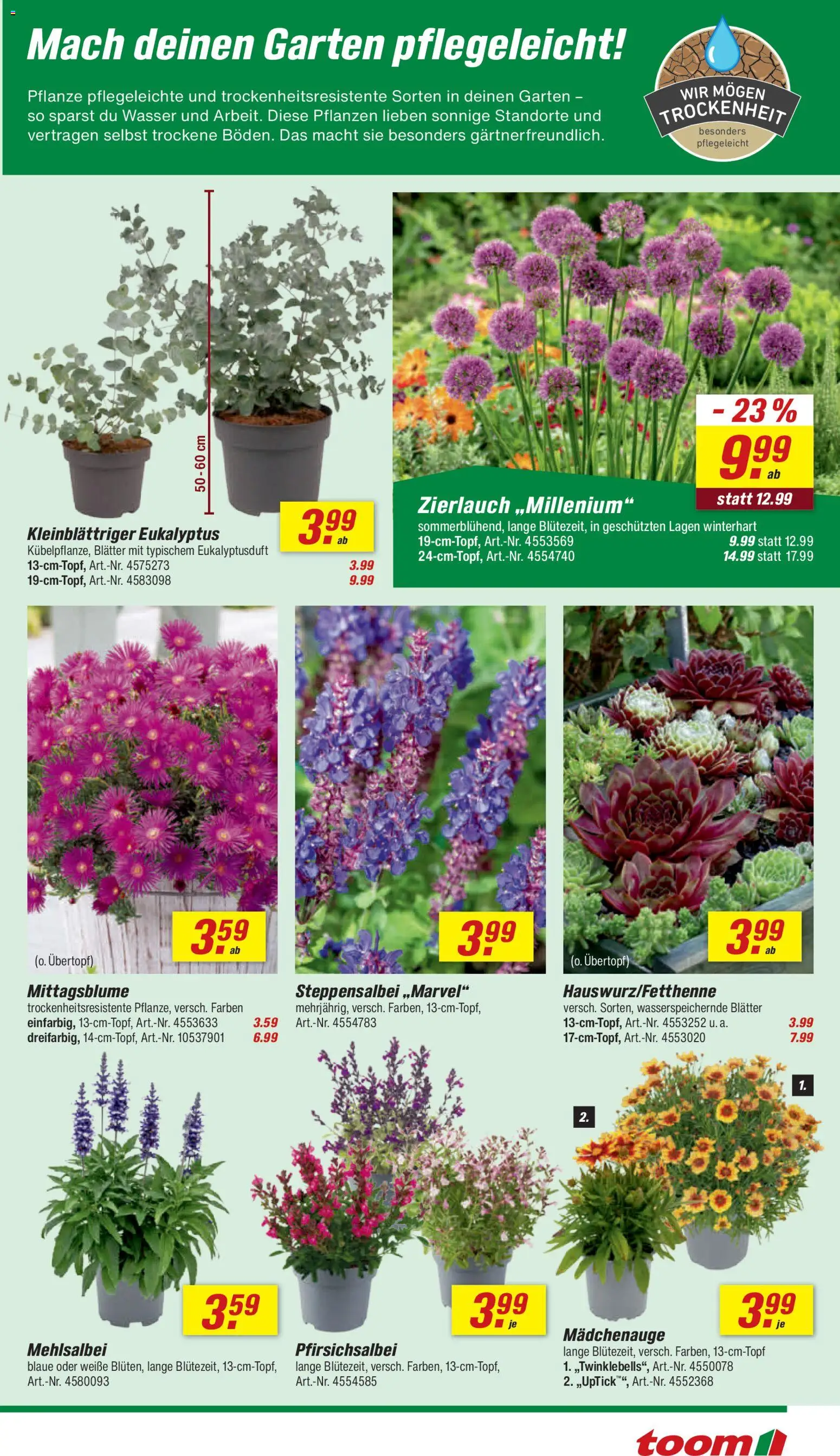 Toom Baumarkt Prospekt – gültig ab 20.06.2026 | Seite: 7 | Produkte: Wasser