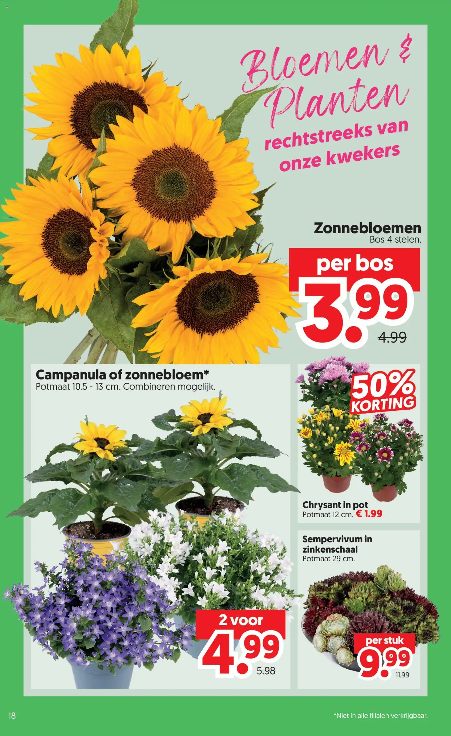 {H1} | Pagina: 18 | Producten: Pot, Bloemen