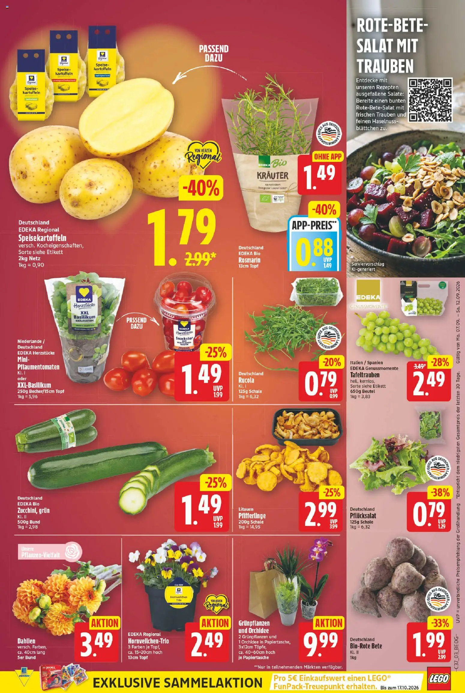 E center Prospekt – gültig ab 07.09.2026 | Seite: 3 | Produkte: Trauben, Orchidee, Pfifferlinge, Salat