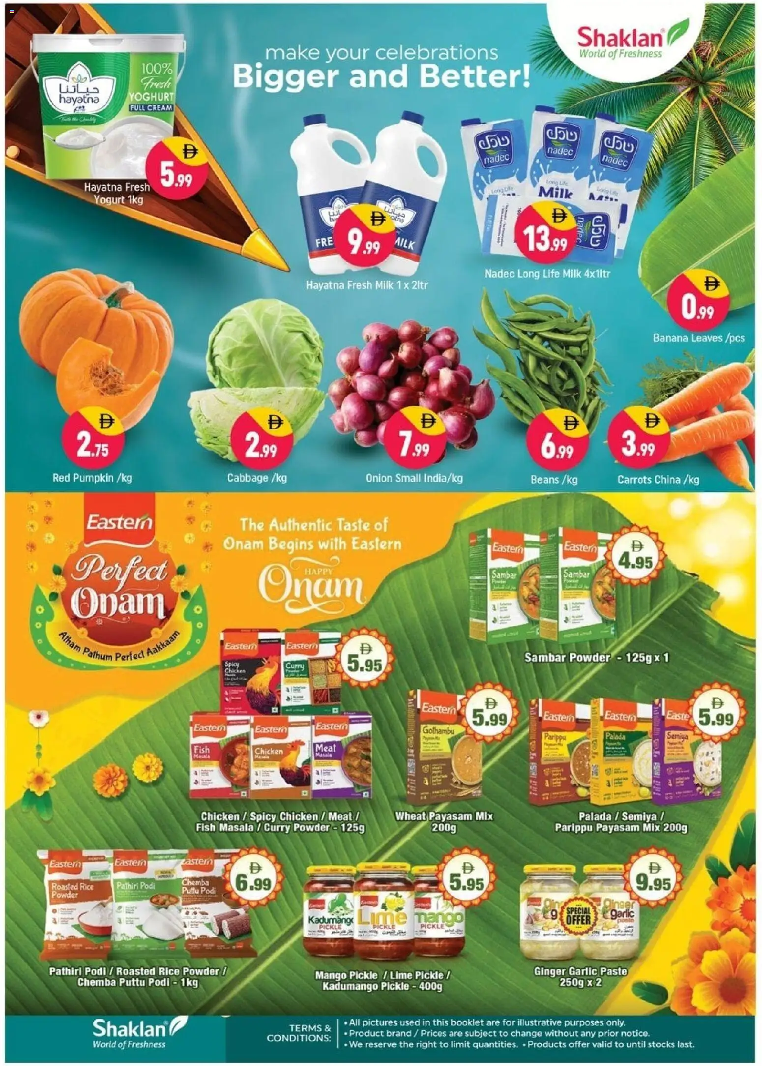 {H1} | Page: 2 | Products: Yoghurt, Chicken, Powder, Mango
